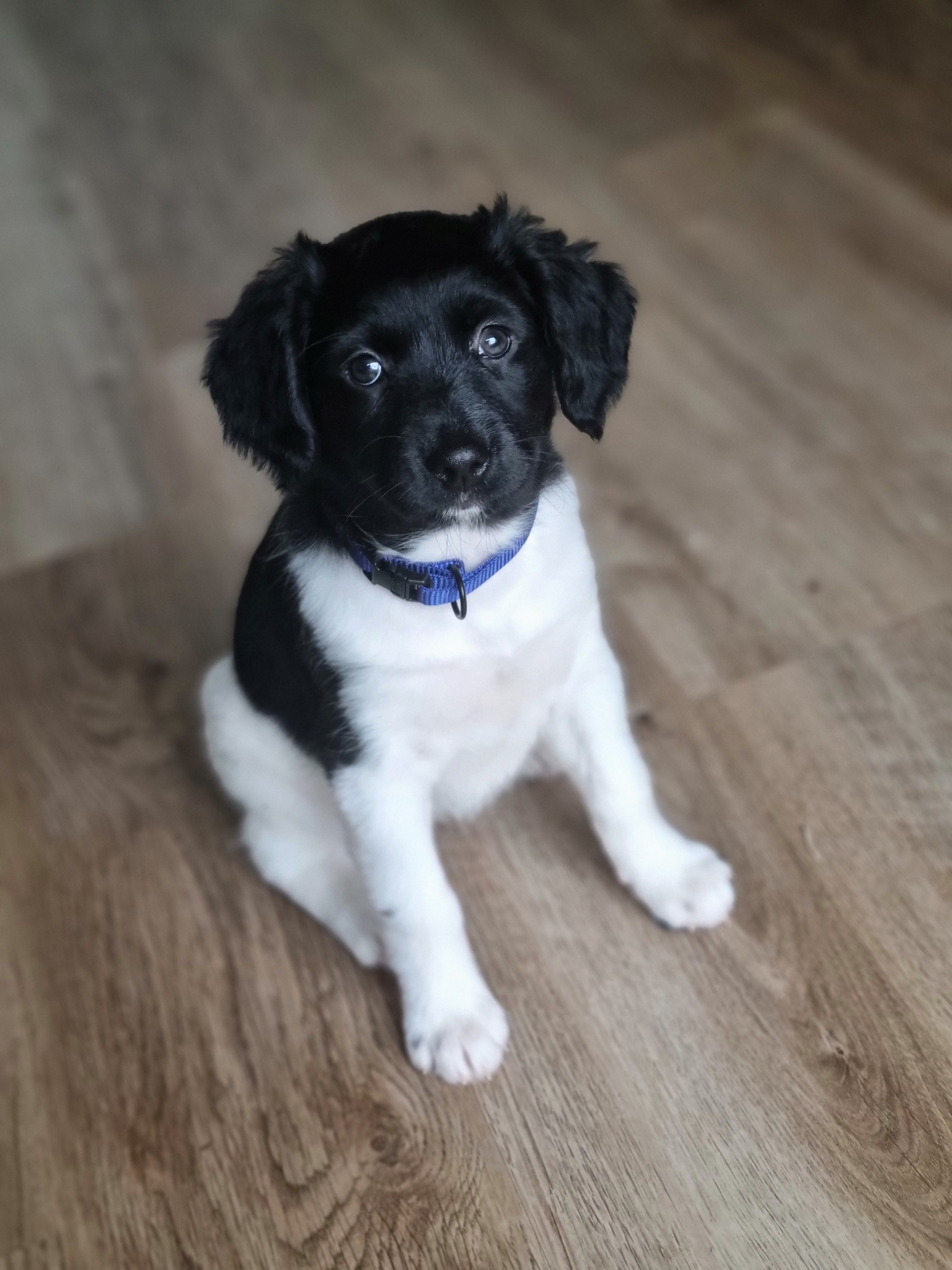 De Boerderieje - Blog Hailey