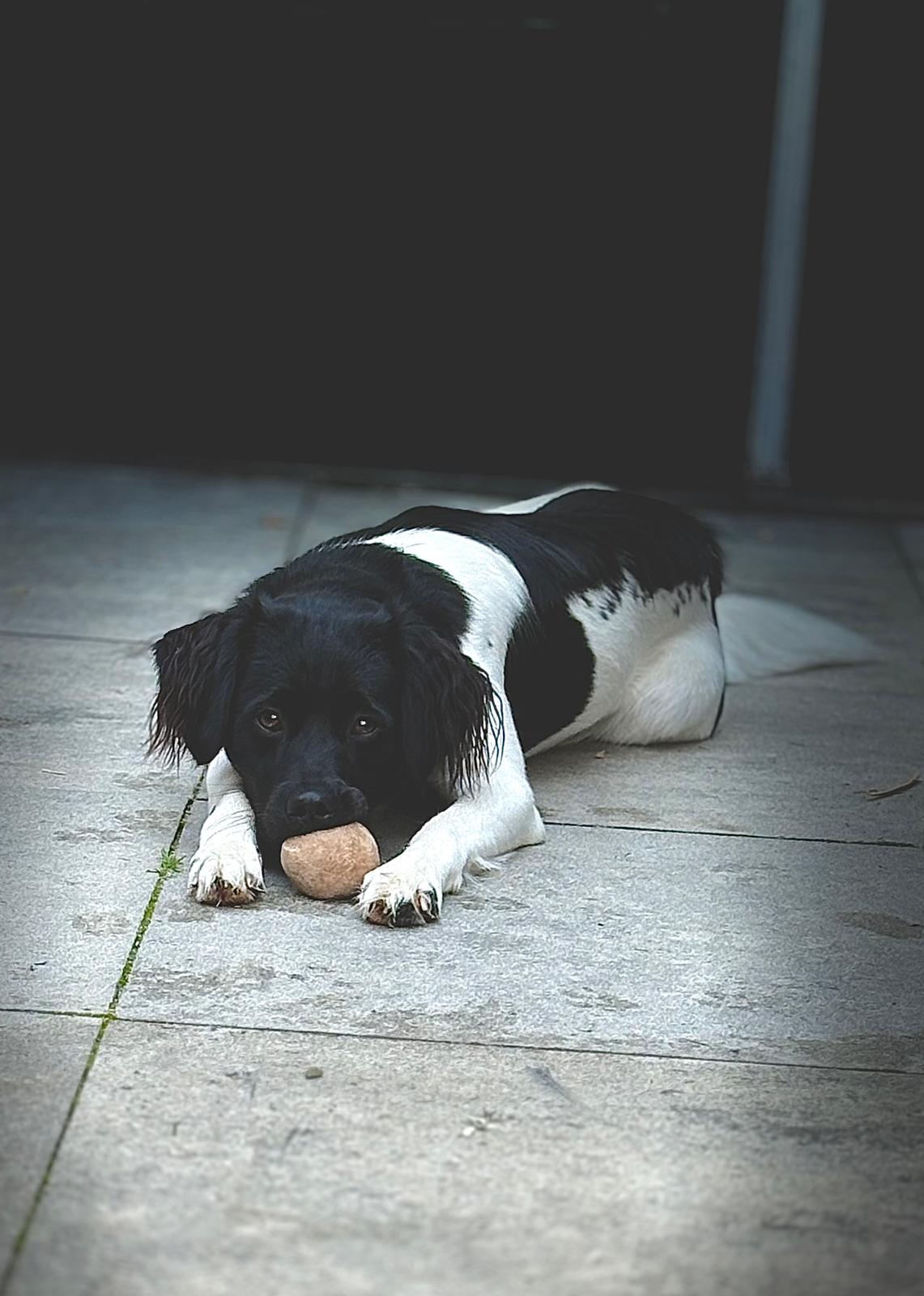 De Boerderieje - Blog Hailey
