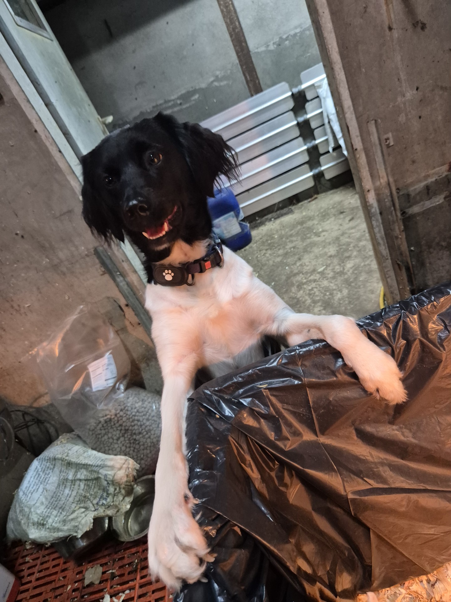 De Boerderieje - Blog Hailey