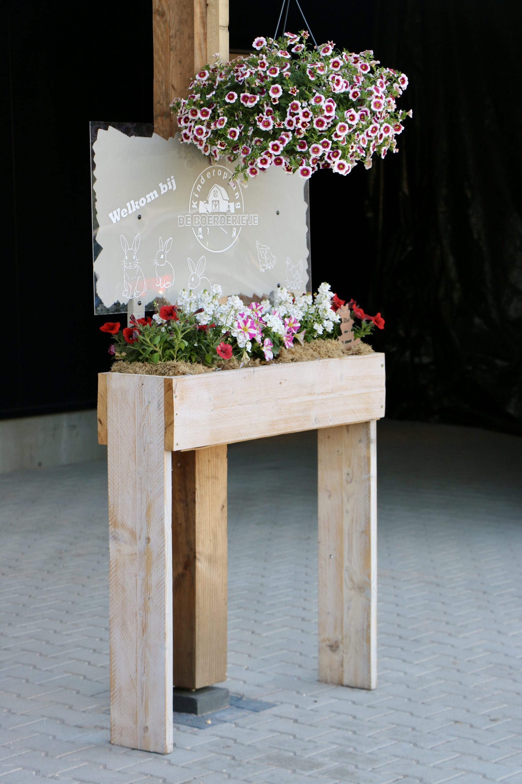 image00061